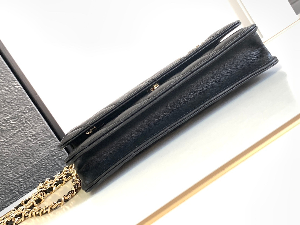 Chanel Woc 19 cm