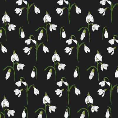 подснежники