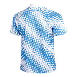 Мужское теннисное поло Lacoste Polo Men - White, Blue