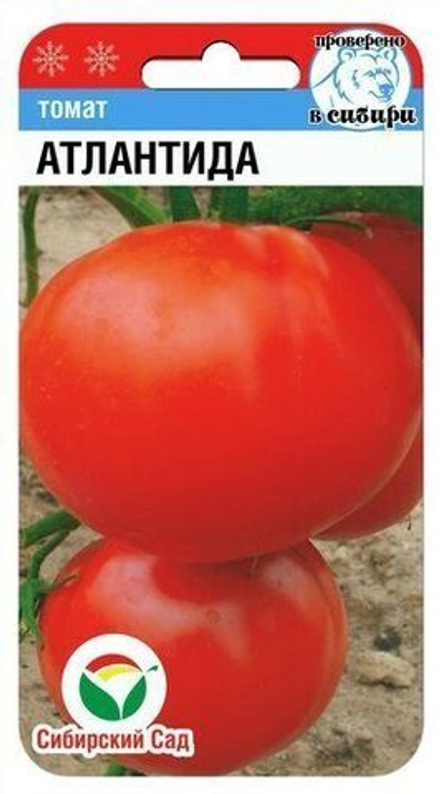 Томат Атлантида Сибсад