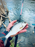 Секция № 2 к удилищу фидер "Volzhanka Atlas" 3.6м 90+гр