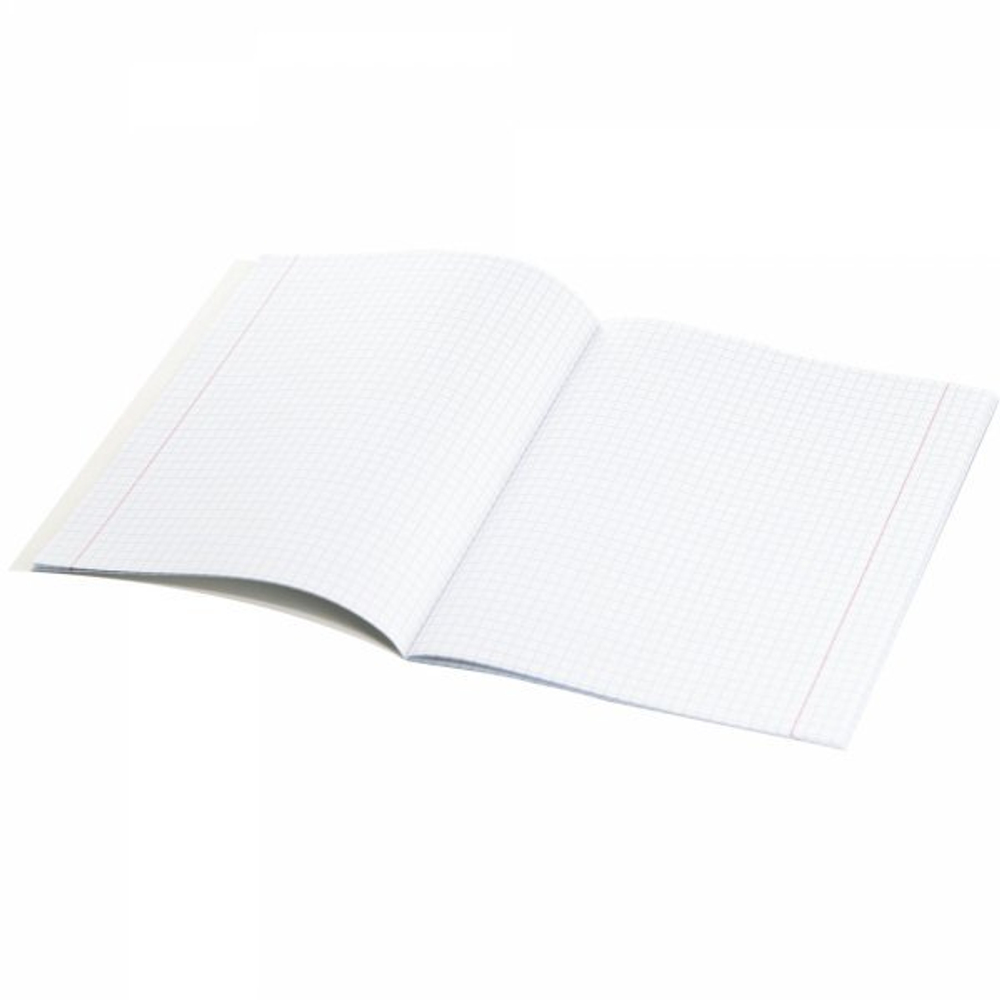 Тетрадь предметная 24л. А5 "Информаттика" со справочным материалом, скрепка, мелованный картон (стандарт), блок офсет, Alingar "Чёрный котик"