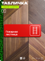 Табличка Пожарная лестница, для офиса, кафе, фитнес-клуба, магазина, отеля, 30 х 10 см черная, Айдентика Технолоджи