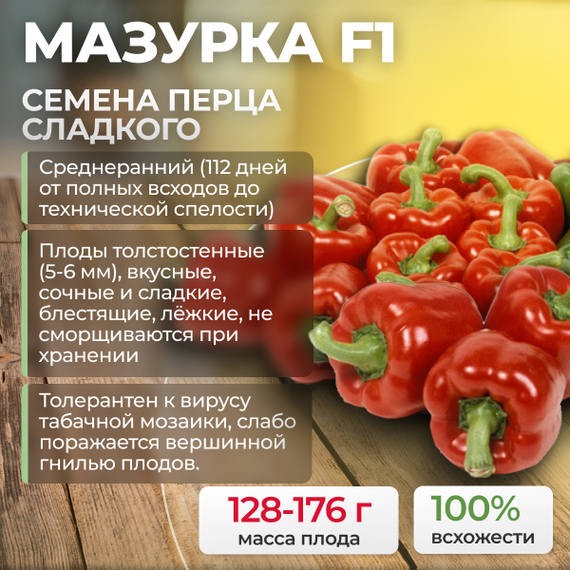 МАЗУРКА F1 семена перца сладкого (Rijk Zwaan) культура – фото 1