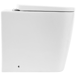 Унитаз BelBagno Albano BB120CBR/BB120SC приставной с сиденьем Микролифт