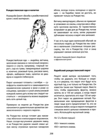 Праздники для всех