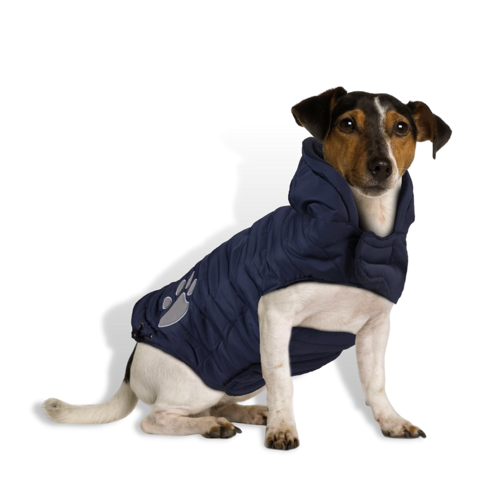 Попона утепленная с капюшоном Paw Blue Flamingo