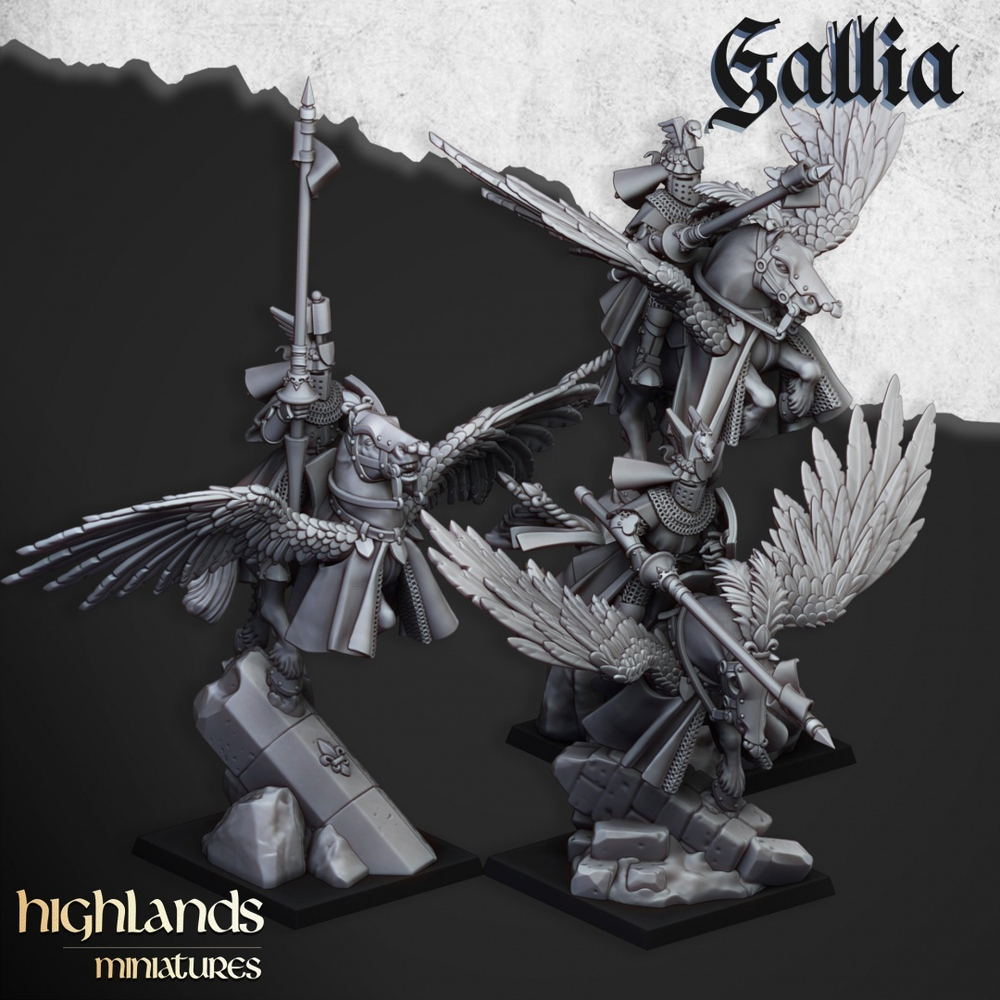 Bretonnia Pegasus Knights Gallia