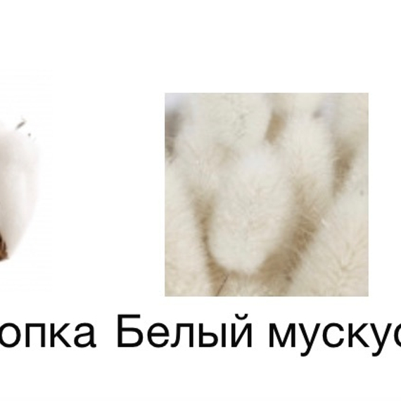 ZARKOPERFUME The Muse 5 мл на распив.