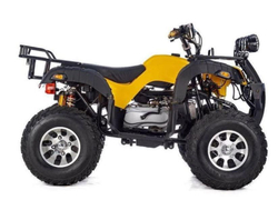 Квадроцикл RAPTOR MAX PRO 250 (жёлтый/чёрный)