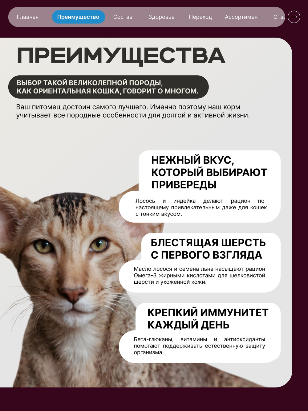 Корм сухой для взрослых кошек породы Ориентальная кошка, с лососем, 5 кг, QUATTRO