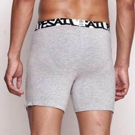 Мужские трусы-шорты серые GMW Boxer Shorts Grey