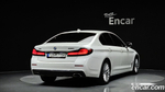 BMW 5 Series (G30) 530i xDrive Luxury (01.2021)