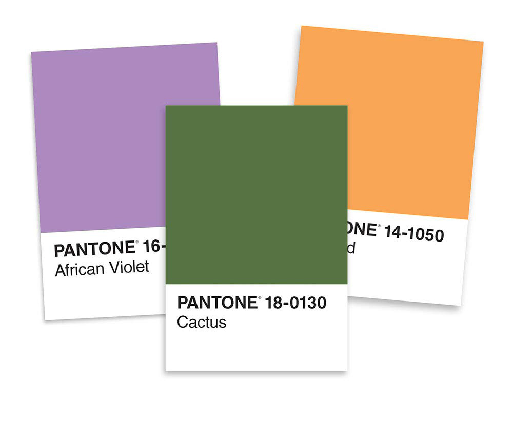 Pantone Postcard Box: 50 Postcards