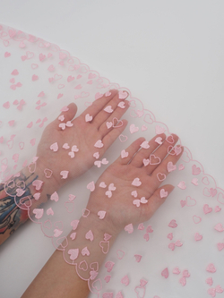 Вышивка на сетке шампань с нежно-розовыми сердечками неэластичная ширина 24 см