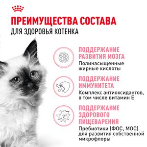 Сухой корм Royal Canin Kitten для котят в период второй фазы роста до 12 месяцев