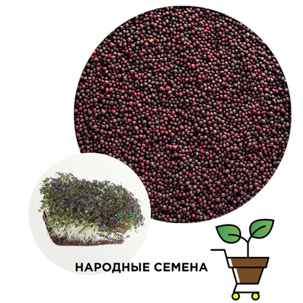 Мицуна красная (семена)