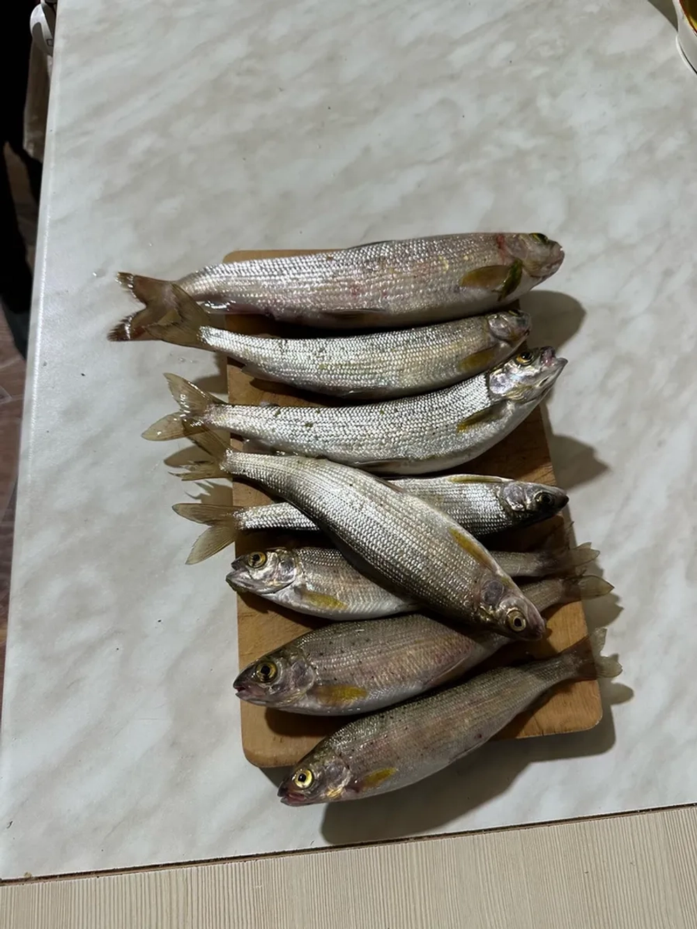 Настрой на хариуса сплетня балда для рыбалки с 4 верховыми мушками