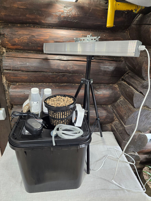 Гидропонная истема выращивания КУБ Максимум DWC с фитолампой