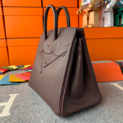 Hermes Birkin 25
