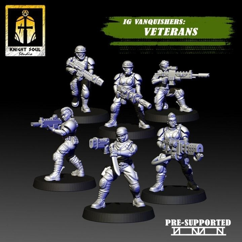 Astra Militarum / Cadian Veterans 2