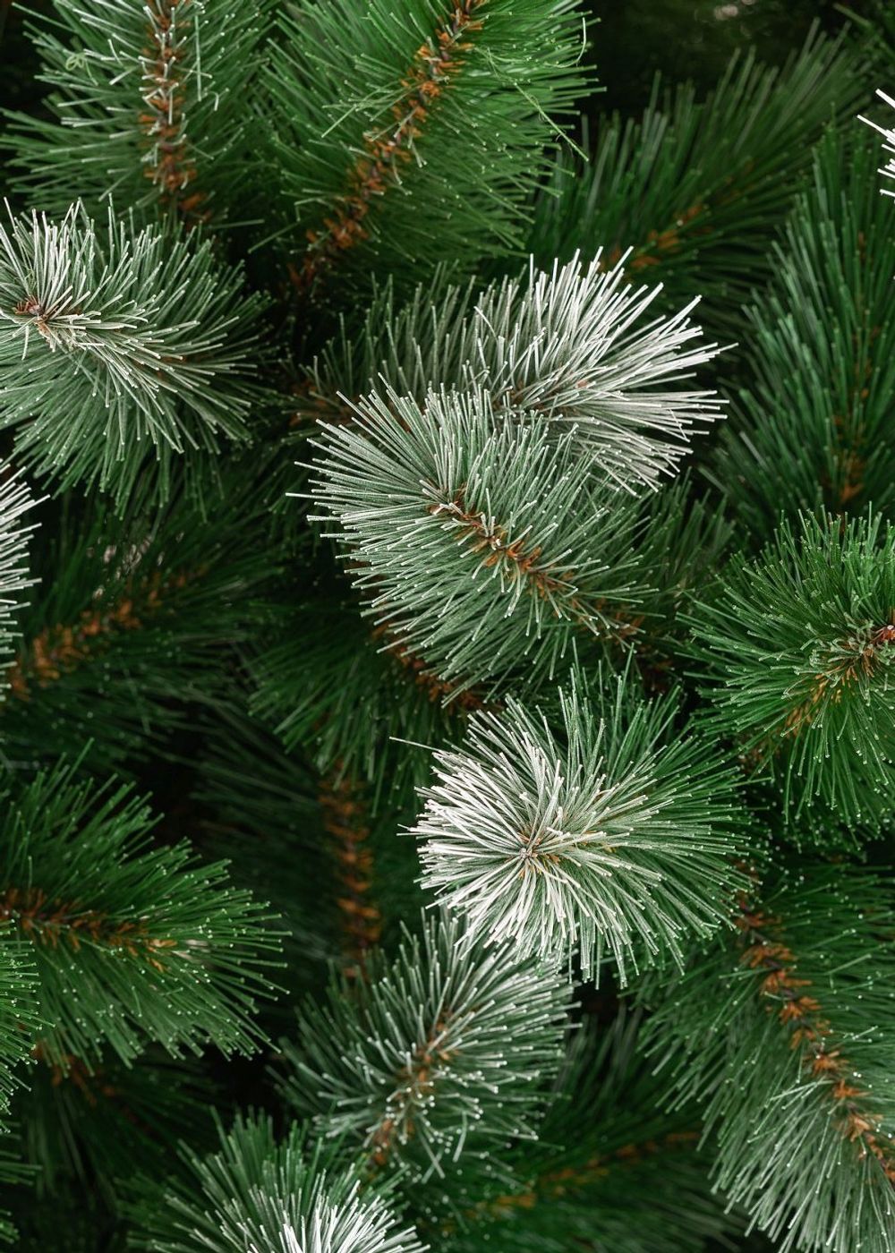 Сосна заснеженная «Сибирский кедр» (леска) 150 см / 1,5 м