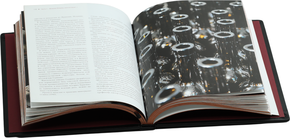 Атлас русского вина. От Крыма до Волги путеводитель по российским винам