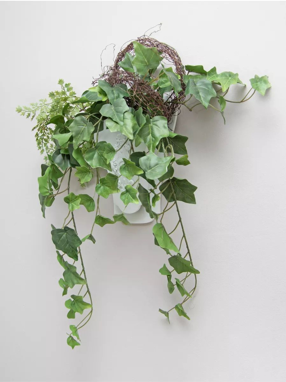 Настенная композиция в кашпо "Плющ"