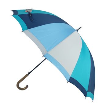 Женский зонт трость Три Слона, полуавтомат 2162-01