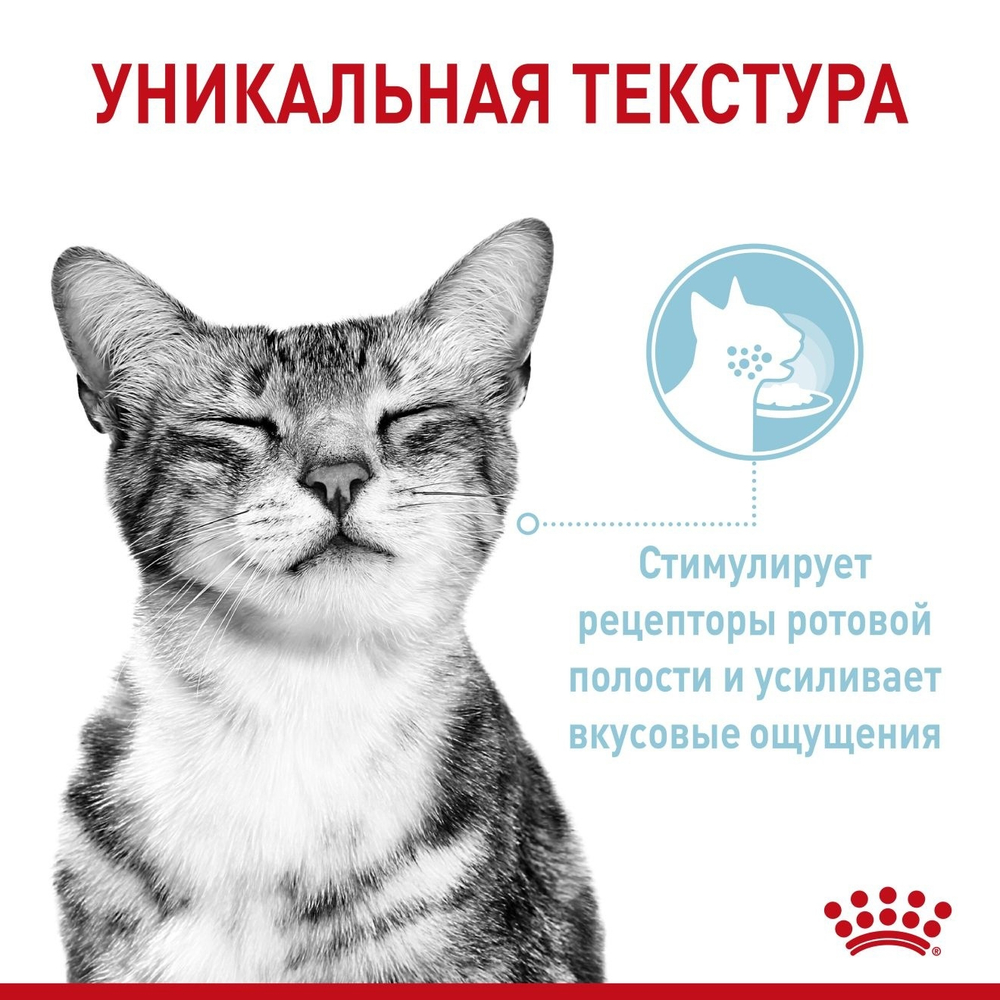 Влажный корм для кошек стимулирующий рецепторы ротовой полости Royal Canin Sensory Ощущения, 12 шт x