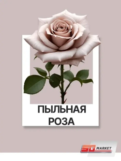 Краска для стен и мебели розово серая 750 гр , SOLEX пыльная роза