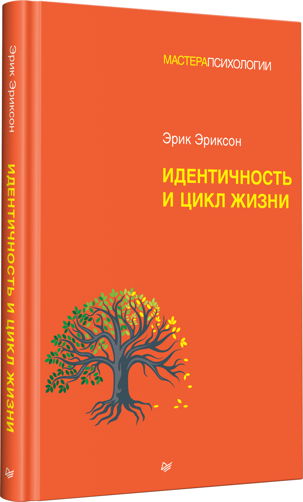Идентичность и цикл жизни