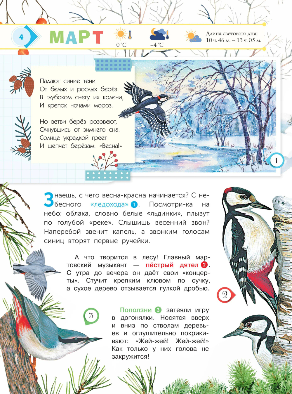 Энциклопедия для мальчиков и девочек. Наша природа