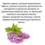 Сирень, кубики восковые для ароматизации, 10 штук