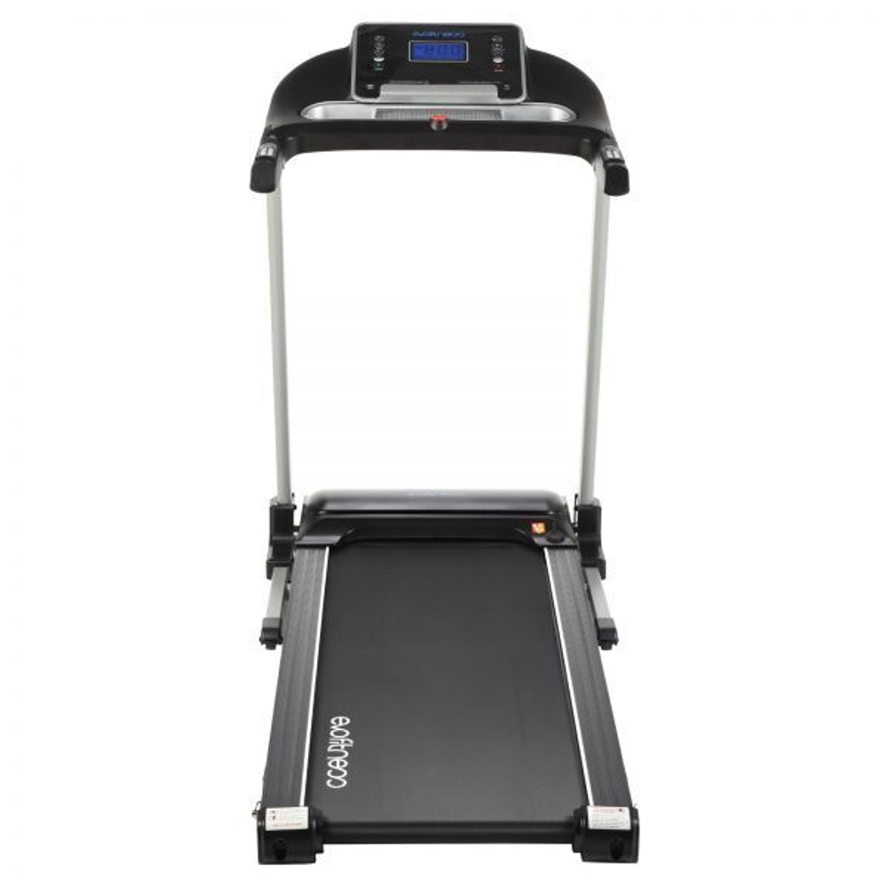 Evo fitness stels