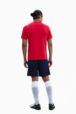 Футболка Nike Atlético Madrid 25/26 Academy Pro - красный