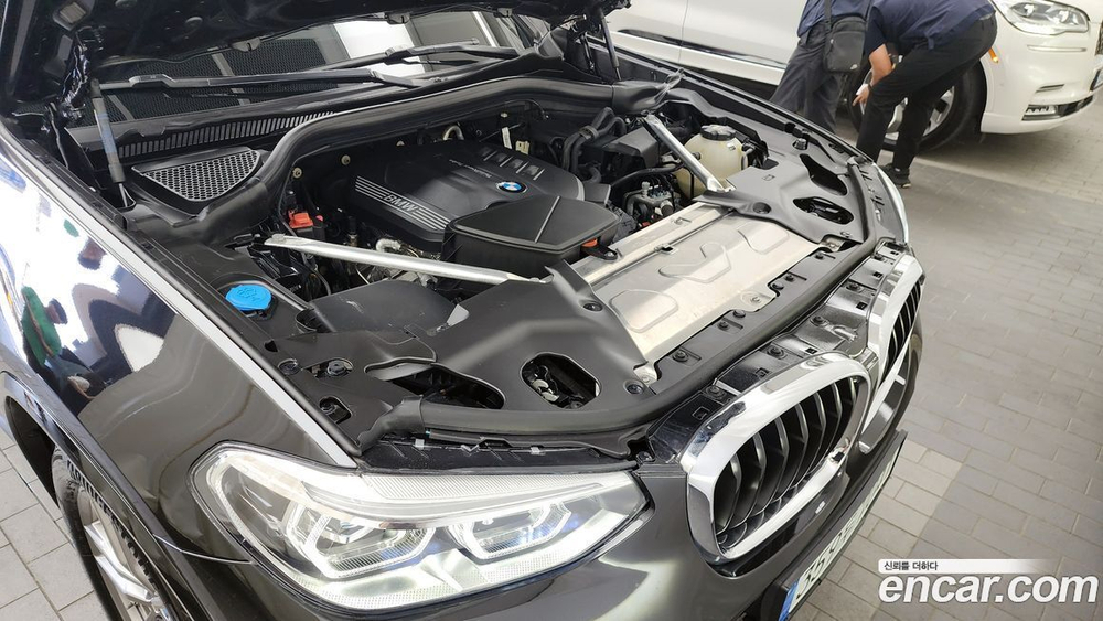 BMW X4 (G02) xDrive20d M Sports (11.2020)