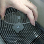 Пассивное избегание (спуск)