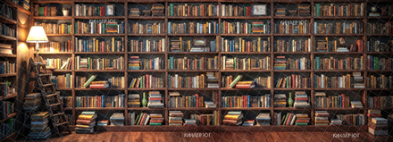 Фотофон "Библиотека" арт. ФФ905-81а