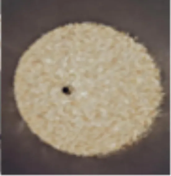 Потолочная люстра MODELUX ML.2320.500 GD