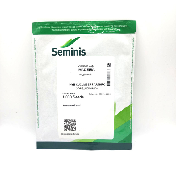 Мадейра F1 (СВ 0196 ЦВ) семена огурца партенокарпического (Seminis / Семинис) – фото 6