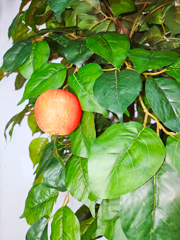 Яблоня с плодами 170см в кашпо