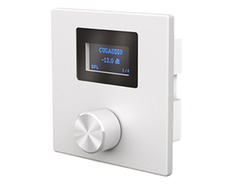 CVGAUDIO P-ZONER-W/IP/A настенная программируемая панель управления