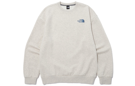 Толстовки THE NORTH FACE Logo, NM5MN53C