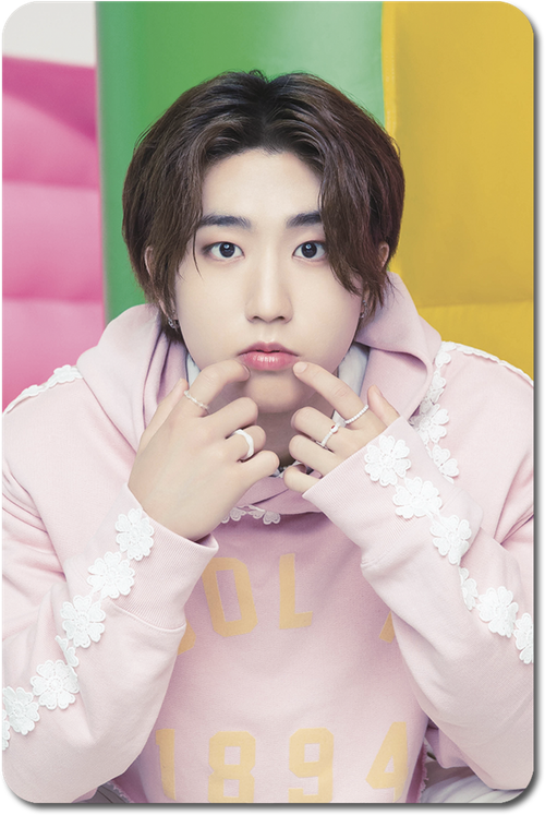 Карта / STRAY KIDS #0541