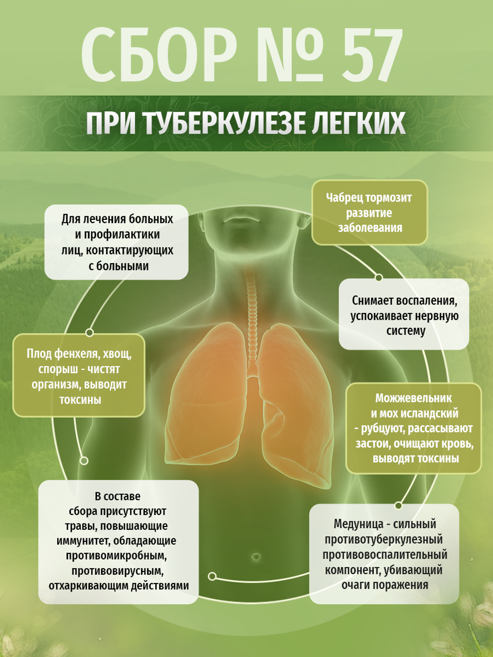Сбор № 57 При туберкулезе легких