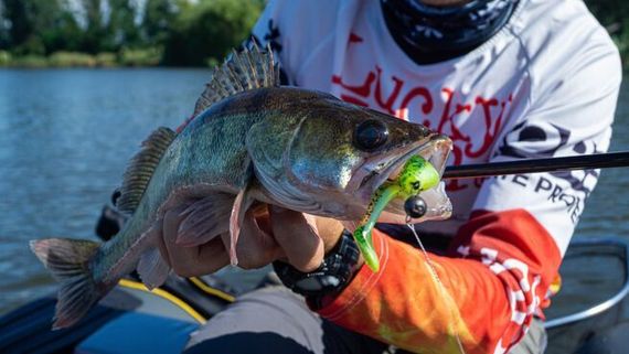 Виброхвосты LJ 3D Series Zander Paddle Tail 4.8in (12.00)/Z06 4шт.