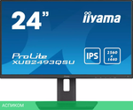 Монитор Iiyama ProLite XUB2493QSU-B5