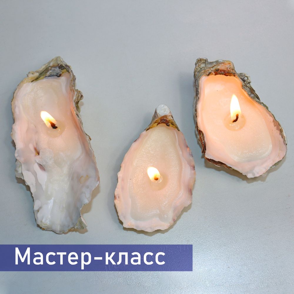 Свеча в ракушке Устрицы