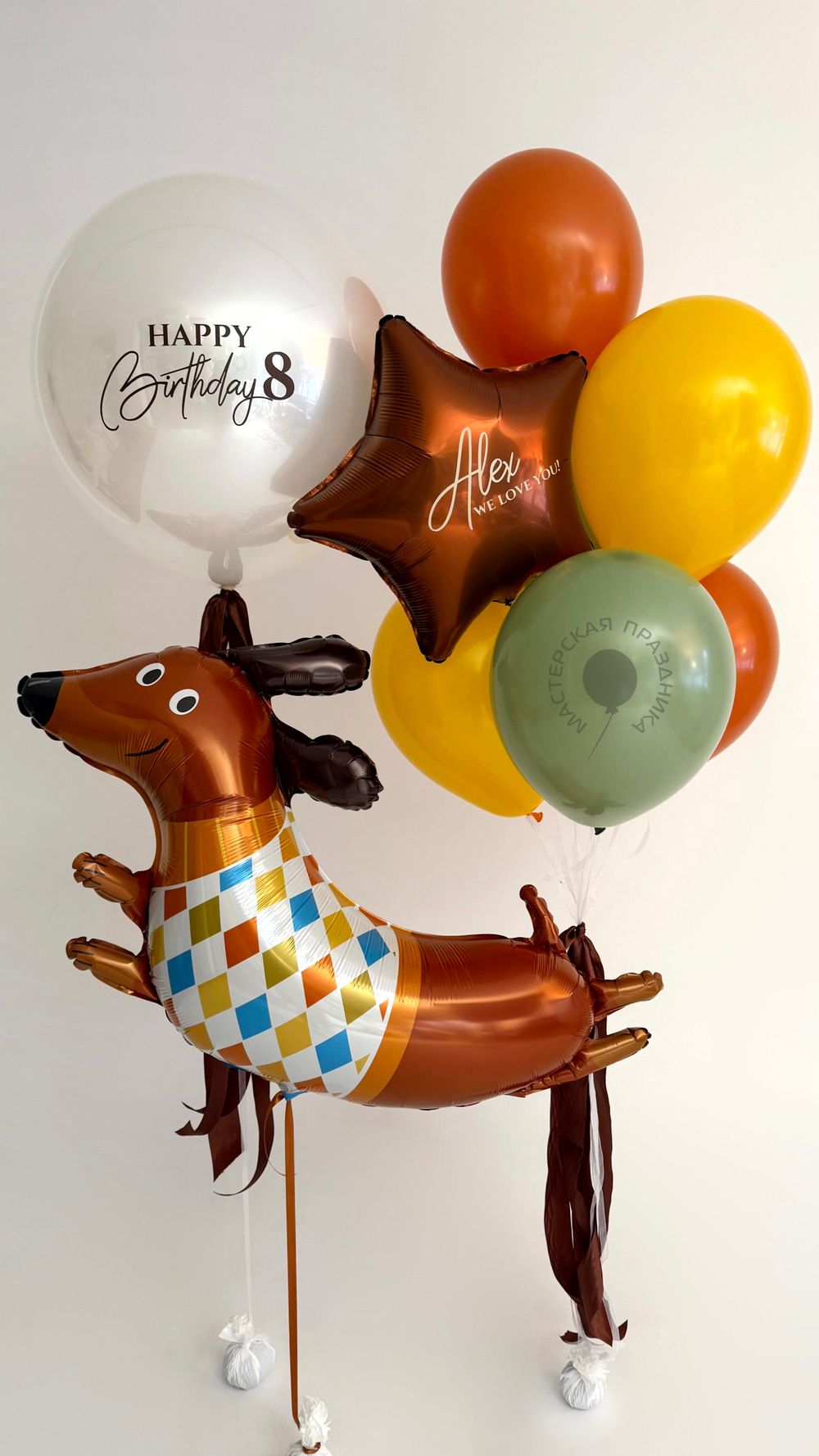 Воздушные шары Такса №8916  Изображение2
